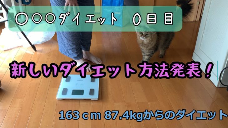 【ダイエット】痛いダイエット/○○ダイエット0日目/猫と体重測定375日目