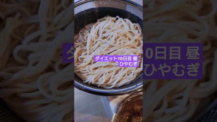 ダイエット10日目 昼食 ひやむぎ1人前