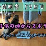 【ダイエット】人間は簡単には変わらない/16時間断食ダイエット59日目/猫と体重測定373日目