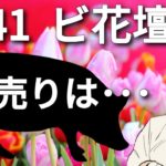 【3041 ビューティ花壇】完全仕手化？大暴騰で値幅4倍！どこまで上がる？