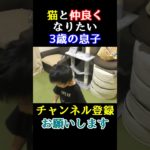 猫と遊ぶよりフィッシャーズさんの動画が見たい3歳の息子【しゃべる猫】#Shorts