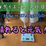 【ダイエット】セロトニンは大事！/足つぼダイエット4日目/猫と体重測定379日目