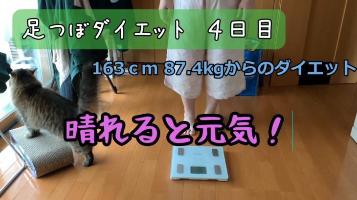 【ダイエット】セロトニンは大事！/足つぼダイエット4日目/猫と体重測定379日目