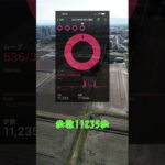 こつこつダイエット経過報告　令和5年5月5日#Shorts