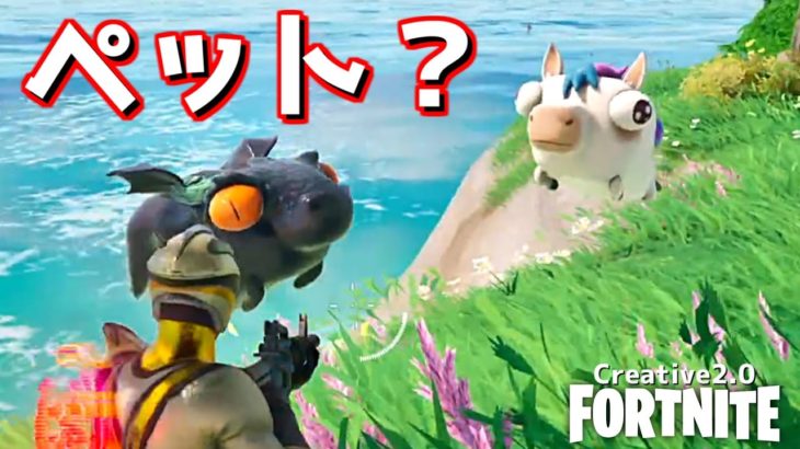 ついてくるカワイイペット【Fortnite】