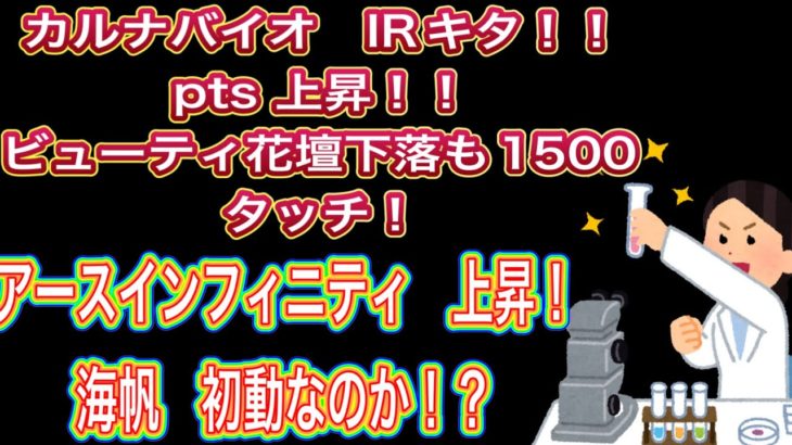 カルナバイオIRキタ！！pts上昇！【ビューティ花壇下落も1500タッチ！】アースインフィニティ上昇！　海帆初動か！？