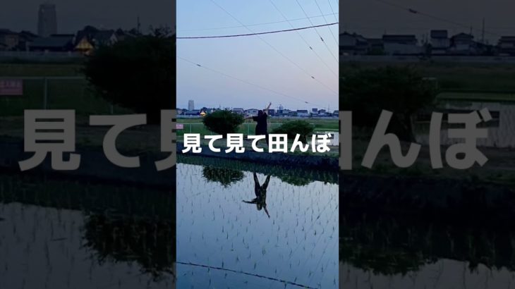 熊野のダイエット　ウォーキング⑤ 友達っていいね  #shorts #ダイエット #ダイエット記録 #100キロ #ウォーキング #デブ