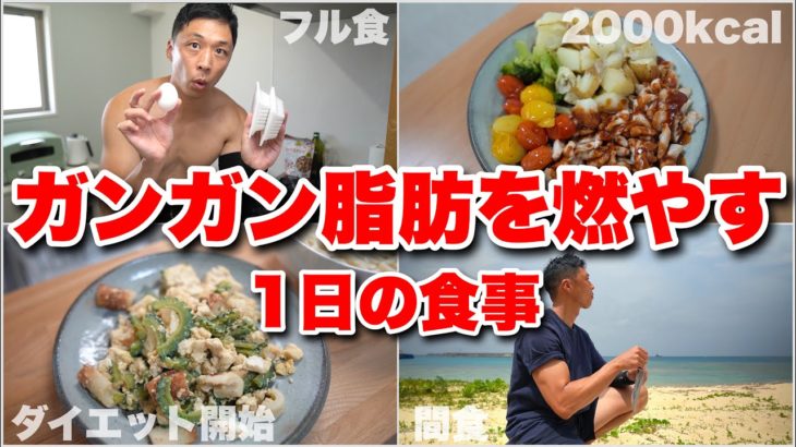 ダイエット開始!!脂肪だけガンガン減らすフル食。