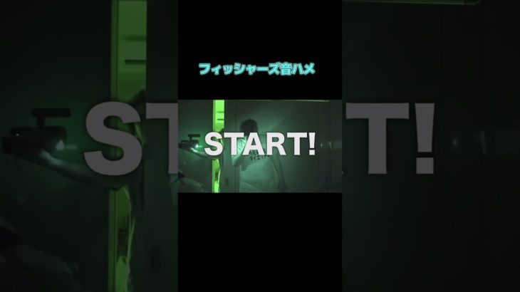 フィッシャーズ音ハメ#フィッシャーズ #トゥルティンアンテナ