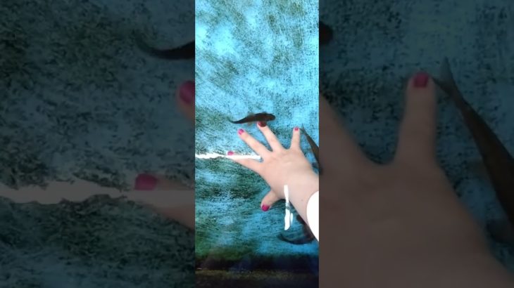 ビューティヒィッシュ(左手で撮影した)