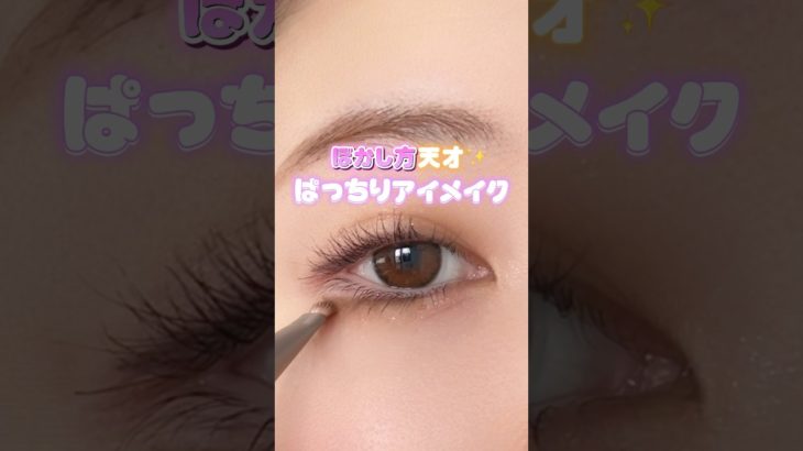 ぼかし方天才！ぱっちりアイメイク👯‍♀️💖#メイク#メイクアップ#コスメ#アイメイク#アイメイク動画 #アイメイク方法#デカ目メイク