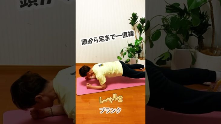 【20秒】スッキリお腹痩せ♪#体幹トレーニングダイエット