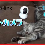 【防犯】TP-LINK Tapo C210 ペットカメラ ネットワークカメラ【セキュリティー】