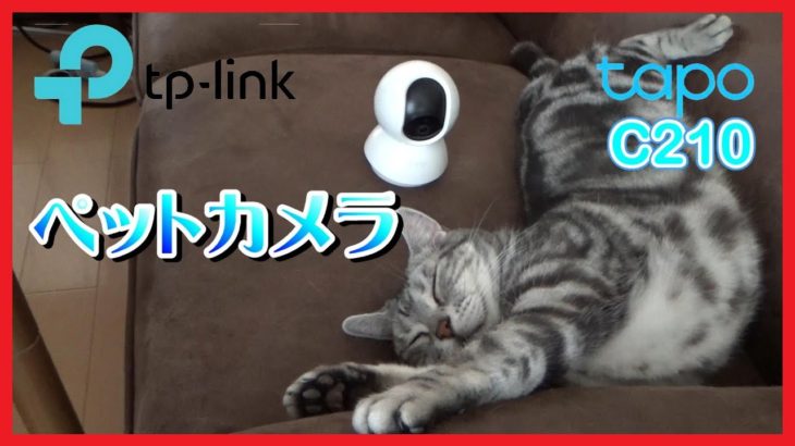 【防犯】TP-LINK Tapo C210 ペットカメラ ネットワークカメラ【セキュリティー】