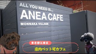 【ペット可】anea cafe 門前仲町
