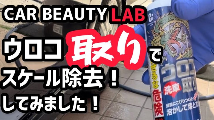 【カービューティラボ】ウロコ取りで、スケール除去！