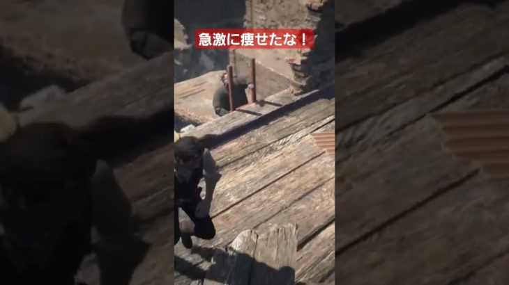 【サイコブレイク】ハシゴダイエット