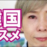 【韓国コスメ縛り】ウンジョンヨのアイシャドウでメイク