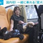 日本初「愛犬専用バス」試験運行開始　ペットツーリズム市場拡大に期待(2023年7月1日)