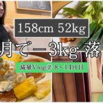 【−3kg落とす1週間の食事②】ダイエット減量Vlog8〜14日目 | 体重・体脂肪率