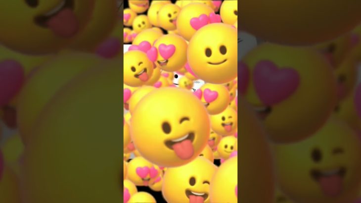 ワンパンマンペットにするなら 5選