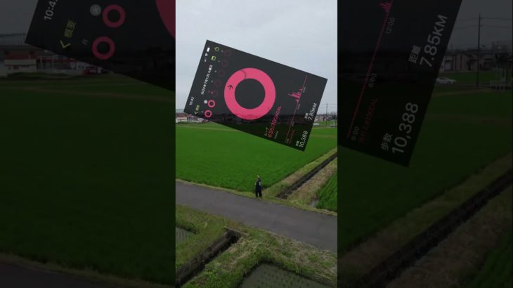 こつこつダイエット経過報告　令和5年7月12日#Shorts