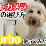 ペットカメラの選び方【Furbo】を使ってみた感想！