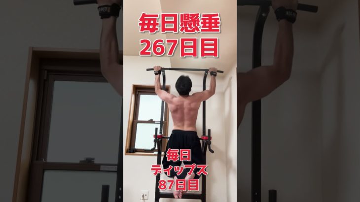 #毎日懸垂２６７日目 #ダイエット中  #shorts