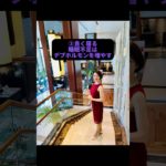 【知らないと損する】１０キロ痩せた私のダイエット方法教えます#腸活 #ダイエット#腸活ダイエット#shorts