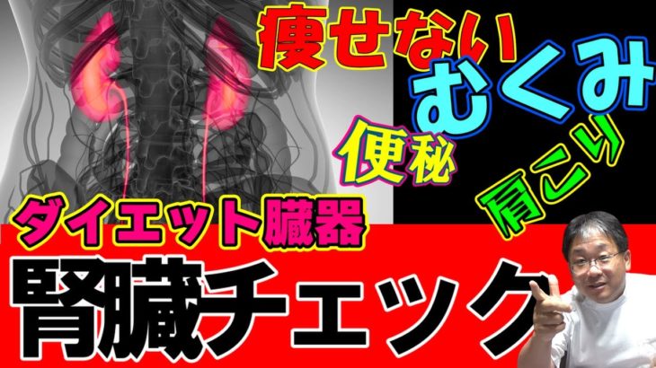 【ダイエット臓器】腎臓チェック ～むくみ・便秘・肩こり・痩せない方必見～