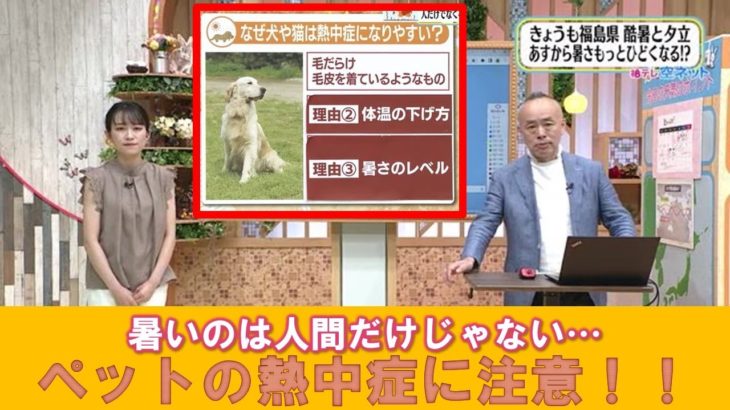 【ペットの熱中症に注意！】空ネット（７月２６日放送）