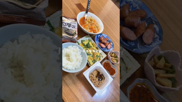 ダイエットを辞めた女の1日のごはん〜夜マック食べた〜っ！🫶〜