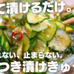 【ダイエットにも】1度食べたら止まらない。やみつき無限きゅうり漬け　おつまみにも、ご飯にも。