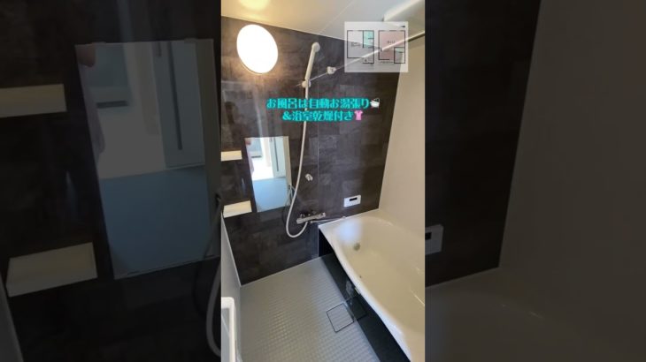 インナーガレージ付き🚙🌈ペット2匹以上可🐶アメカジ風ワンルーム🪵 ‎🇺🇸 【SAEKI.BLD21 HORIE BASE】 #お部屋さがし物語 #松山市賃貸 #ペット飼育可 #一人暮らし