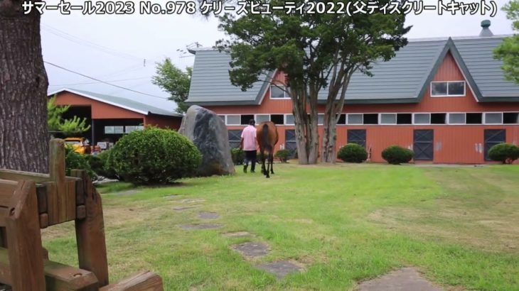 サマーセール2023 No.978 ケリーズビューティ(父ディスクリートキャット)