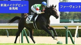 【目に狂いはなかった】新潟第5レース メイクデビュー新馬戦 ファーヴェント 完勝！松山弘平騎手 #ファーヴェント #競馬 #競馬動画 #キャロットクラブ #新馬戦 #メイクデビュー #新潟競馬場
