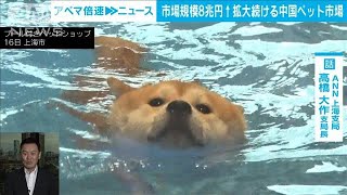 【解説】中国・空前のペットブーム 「クローン犬」も人気 ANN上海支局 高橋大作支局長【ABEMA NEWS】(2023年8月17日)