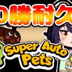 【Super Auto Pets】初見！10勝するまでペットを飼育するクマー！！【乙戸りま】