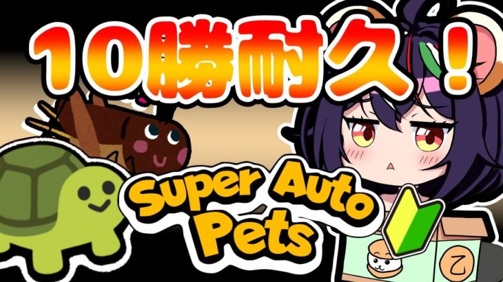 【Super Auto Pets】初見！10勝するまでペットを飼育するクマー！！【乙戸りま】