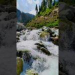 Wild Streams to Snowy Peaks: Nature’s Tranquil Beauty #streams #snowy #wild #tranquil #watersounds