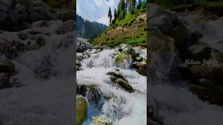 Wild Streams to Snowy Peaks: Nature’s Tranquil Beauty #streams #snowy #wild #tranquil #watersounds