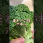 ダイエットにおすすめ！ブロッコリーサラダ #cat #猫 #shorts #ダイエット