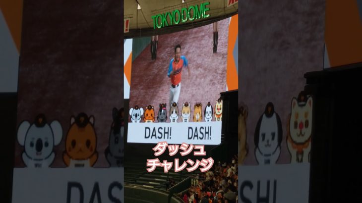 フィッシャーズのシルクロードによるダッシュチャレンジ#ジャイアンツ #巨人 #横浜denaベイスターズ #フィッシャーズ #シルクロード