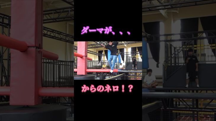 【激似】ダーマがあの人に似てる！？ #フィッシャーズ #フィッシャーズ切り抜き #シルクロード #モトキ #ンダホ #マサイ #ザカオ #ダーマ #運動 #おもしろ #ワンピース #shorts