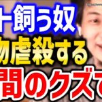 【ひろゆき】※これがペット飼う人の本性です※ペットショップの売れ残りがどうなるか教えます⇒ペット産業の闇についてひろゆき【切り抜き／論破／犬／猫／飼育放棄／飼い主／命／動物愛護／動物系ユーチューバー】
