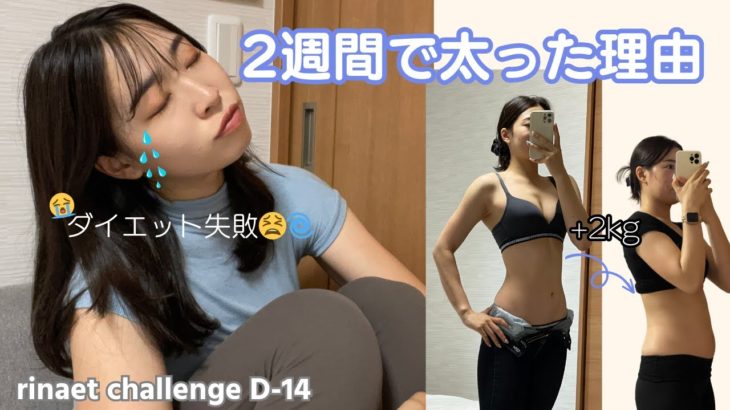 もうダイエット頑張られへん😭