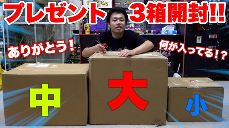 【３箱】ダンボール大中小のプレゼント開封したら中身があまりにも幸せだった。