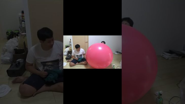 【フィッシャーズ】ここのラブカス好きw #フィッシャーズ#shorts