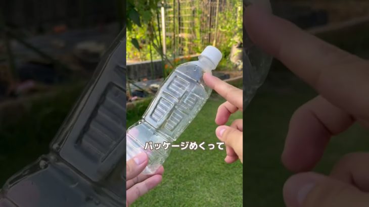 ペットボトル捕虫器作るなら今👍 #家庭菜園 #youtubeshorts #ガーデニング #害虫対策