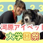 河原学園  大学園祭2023【河原アイペットワールド専門学校】